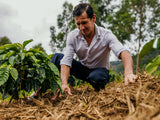 Peru Organic Kovachii