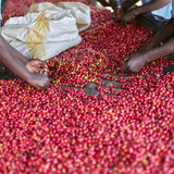 RWANDA AKAGERA COFFEE PROJECT MUKAMA WASHING STATION